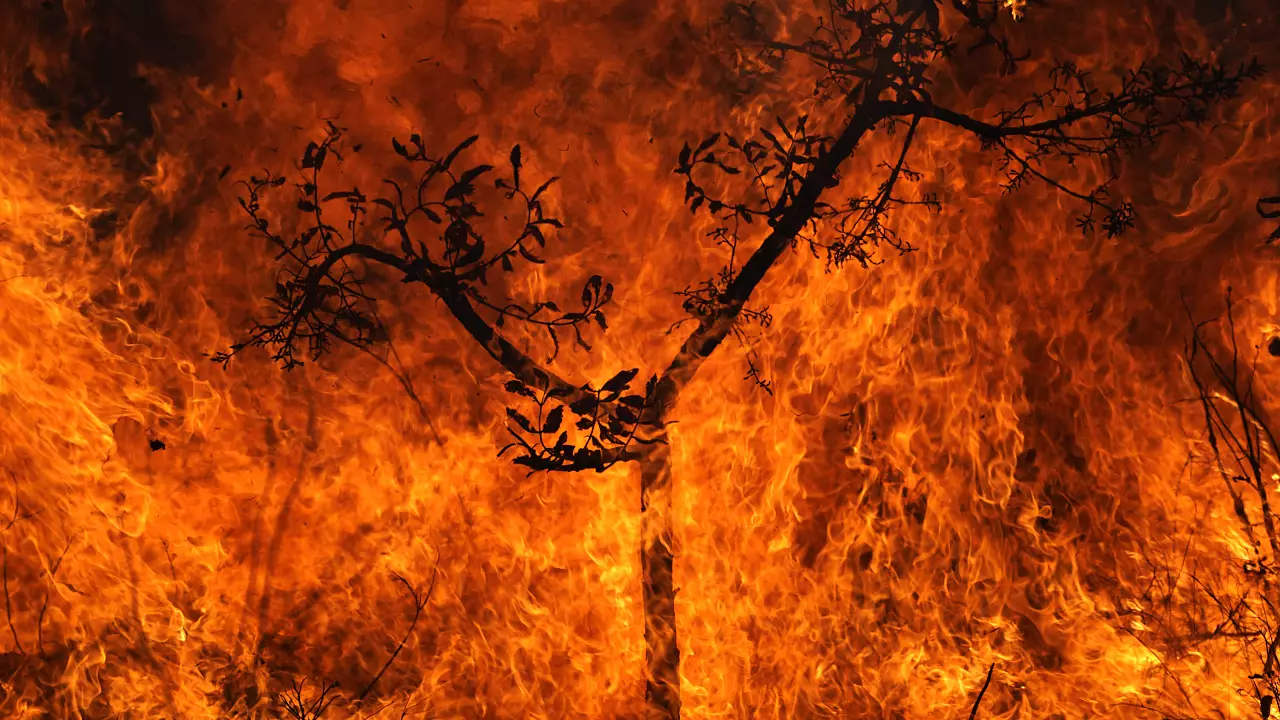 ورود به عصر گرمایش زمین و افزایش آتش‌سوزی‌های جنگلی