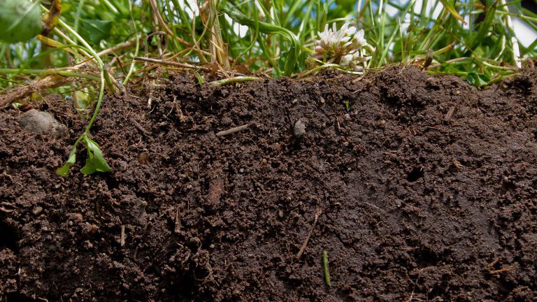 اهمیت خاک و کیفیت آن
