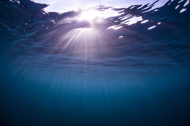 ایده‌ی یک استارت‌آپ: تبدیل اقیانوس‌ها به ماشین جذب دی اکسید کربن