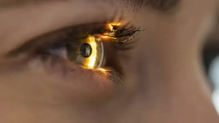 تقلید از شبکیه چشم انسان توسط بیوچیپ هوشمند