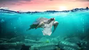 زباله‌دانی به وسعت اعماق اقیانوس‌ها